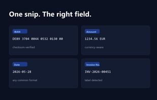 Snip2Field screenshot 1