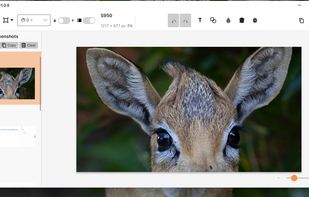 Snipper Tool overview - as simple as snipping tool