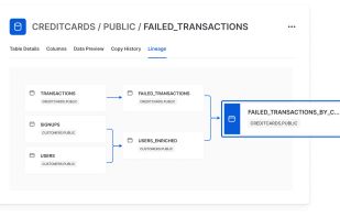 Snowflake Data Cloud screenshot 1