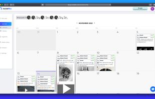 Calendar view of social media posts