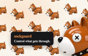 Sockguard product overview: control what reaches the Docker or Podman socket.