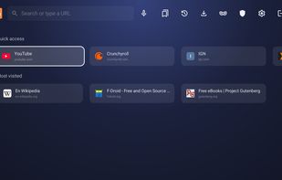 Sofa TV Browser screenshot 1