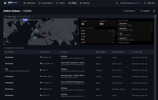 Online visitors panel