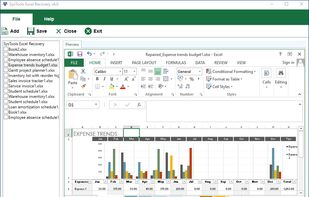 Softmagnat Microsoft Excel Recovery Tool screenshot 2