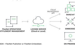 Software Monetization screenshot 1