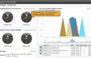 SolarWinds Netflow Traffic Analyzer screenshot 3