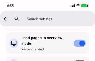 Image of browser settings