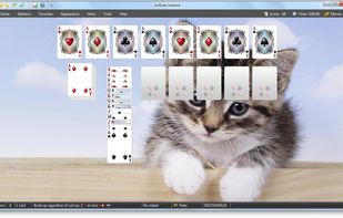 SolSuite Solitaire screenshot 1