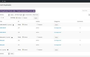 Trash Duplicate and 301 Redirect WordPress Plugin