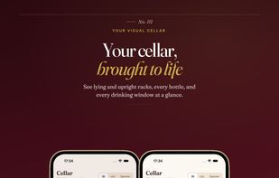 Your cellar in 3D: horizontal and upright racks with bottle-level drinking windows.