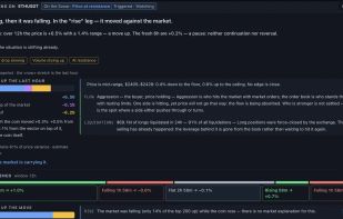Sonarcast screenshot 2