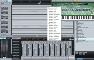 Sonatina Symphonic Orchestra Module screenshot 1