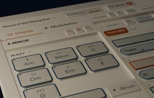 The chord palette: every chord in the key with its Roman numeral, with Borrowed chords, Secondary Dominants and Modulation routes alongside.
