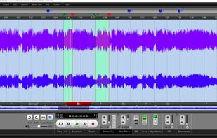 Song Surgeon screenshot 1