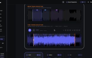 Check Your Hooks: the three parts of the song that work as short videos, with the lyrics already timed on the waveform.