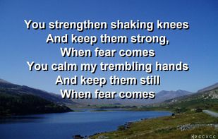 SongPro screenshot 2