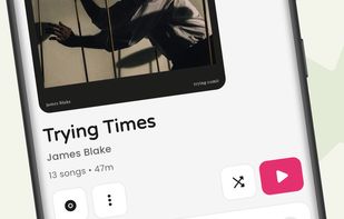 Bottom  Text: Complete Album View
Showing the Sono Album View