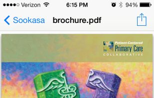 Sookasa screenshot 2