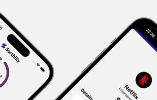 Sortbilly screenshot 2