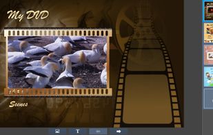 Sothink DVD Creator screenshot 1