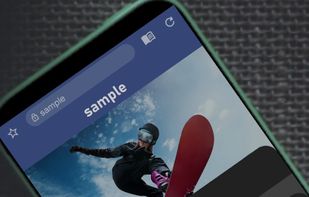 Soul Browser screenshot 1