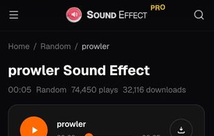 Sound page phone 