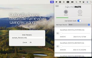 SoundPaste screenshot 2