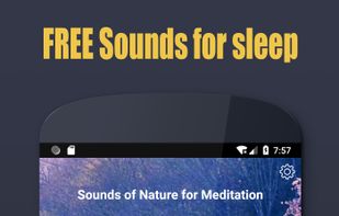 Sounds of nature for meditation: sounds birds screenshot 3