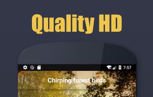 Sounds of nature for meditation: sounds birds screenshot 2