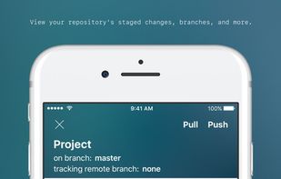 Source - git client and code editor screenshot 3