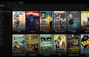 Movies and series from every provider, with posters and a resume bar on anything you’ve started.