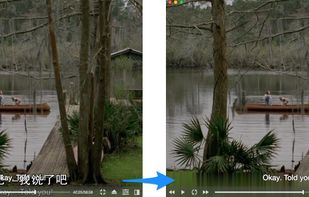Source Player screenshot 2