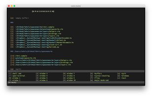 SpaceNeovim screenshot 1