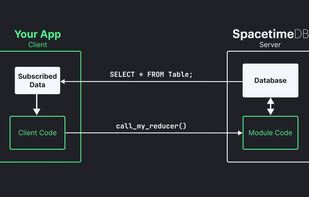 SpacetimeDB screenshot 1