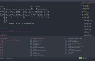 Spacevim screenshot 1