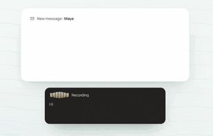 SpeakoFlow screenshot 1