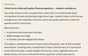 SpecieSense screenshot 1