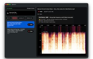 Spot fake lossless audio