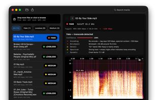 Spot fake lossless audio