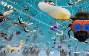 Speculative Evolution screenshot 1