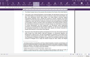 Interface displayed during PDF editing
