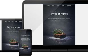 Speedy Newsletter screenshot 1