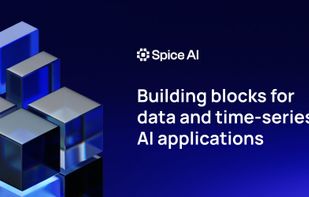 Spice AI screenshot 1