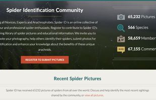 Spider ID screenshot 1