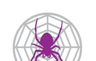 Spider Project screenshot 1