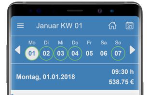 SpikeTime TimeTracking screenshot 3