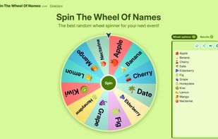 Spin The Wheel Of Names screenshot 1