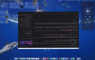 SpinWin screenshot 2