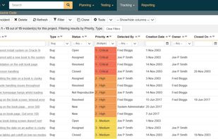 SpiraPlan - Defects Management 