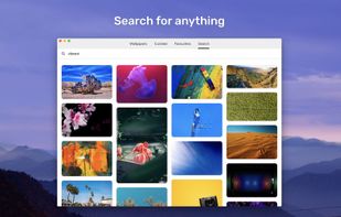 Splashify screenshot 3